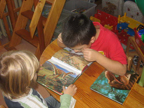 foto  6