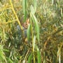 foto  9